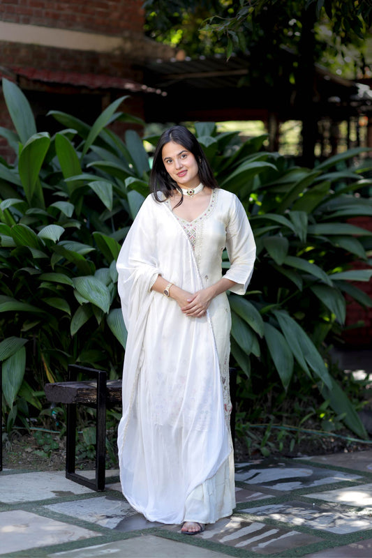 Arohi Elegance Suit