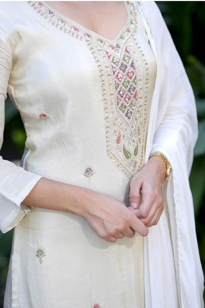 Arohi Elegance Suit